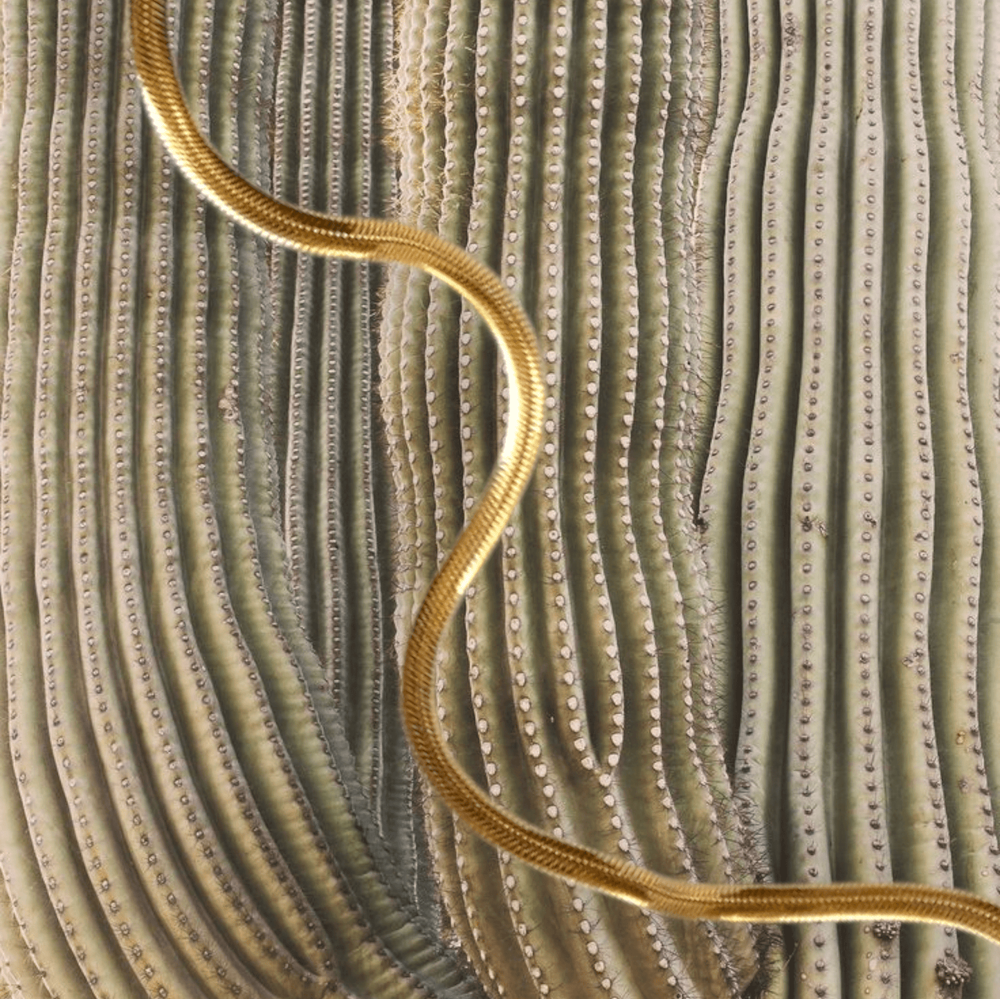 Heirbone 14kt Gold Necklace