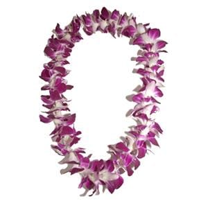 
                      
                        Orchid Double Flower Lei
                      
                    
