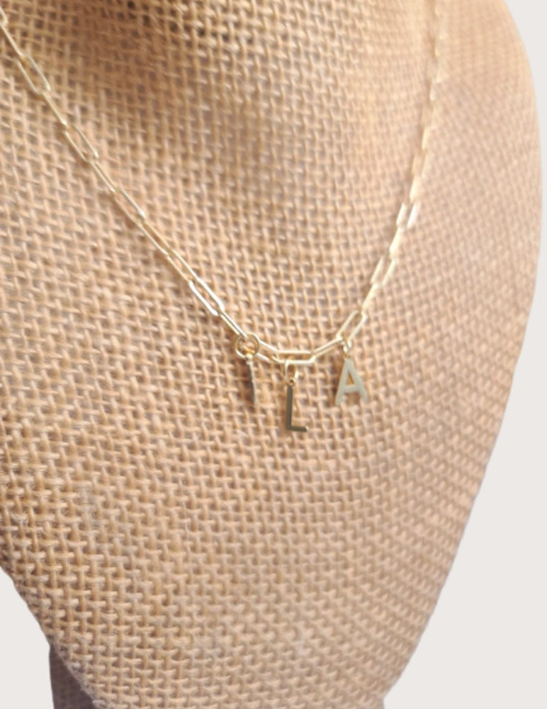 
                
                    Load image into Gallery viewer, Initial 14kt GF Paperclip Necklace
                
            